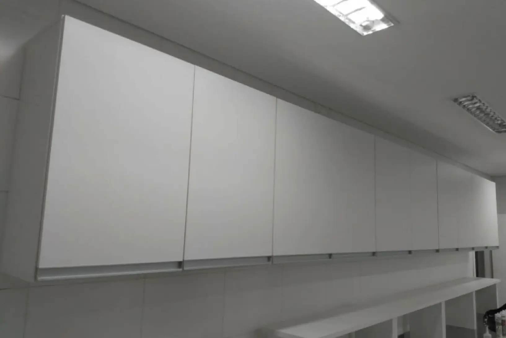 ARMARIO DE PAREDE PARA LABORATORIO